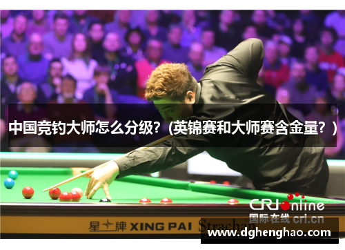 中国竞钓大师怎么分级？(英锦赛和大师赛含金量？)